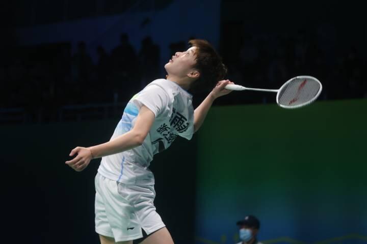 多米尼加v 多米尼加v