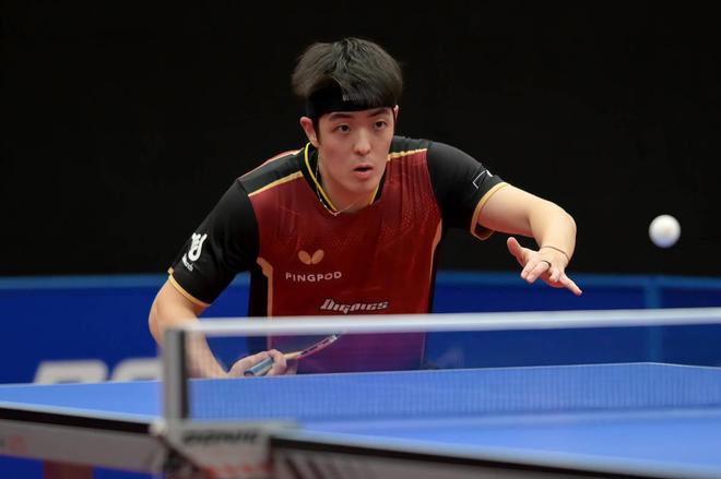 山东泰山已 山东泰山已